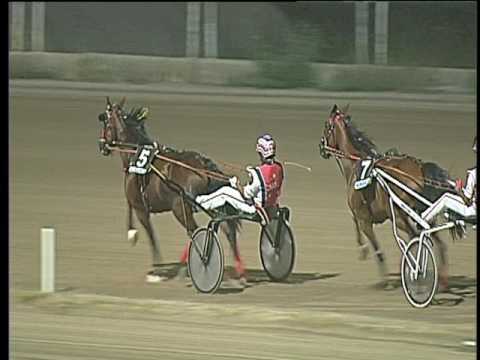 Trotto 08/07/2017 - 4ª corsa