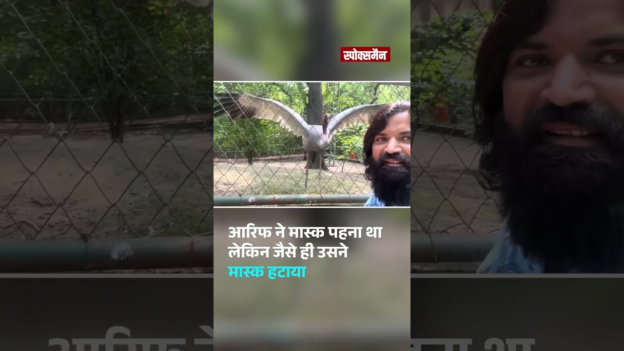 4 महीने बाद चिड़ियाघर पहुंचे आरिफ, अपने दोस्त को देख नाचने लगा सारस, वीडियो देख हो जाएंगे भावुक 4 महीने बाद चिड़ियाघर पहुंचे आरिफ, अपने दोस्त को देख नाचने लगा सारस, वीडियो देख हो जाएंगे भावुक