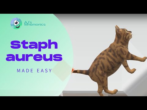 Staphylococcus aureus (Mnemonic)