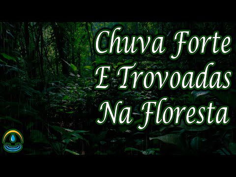 CHUVA NA FLORESTA⚡Barulho de CHUVA FORTE com TROVÕES na FLORESTA para Dormir e Relaxar 💤