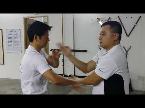 Singapore Wing Chun Academy -