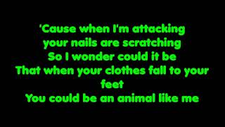 Animal - The Cab (Lyrics)