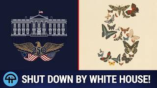 The AI Model the White House Forced Offline
