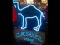 Camel Toe Song! - YouTube
