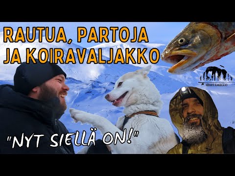 RAUTUA, PARTOJA JA KOIRAVALJAKKO – Talvivaellus Lossujärvelle
