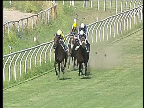 Galoppo 16/06/2017 - 2ª corsa