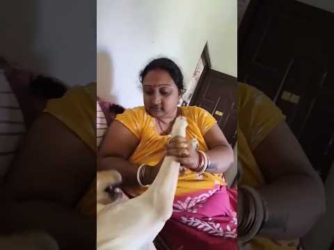 Woman Love his Dog very frankly but...