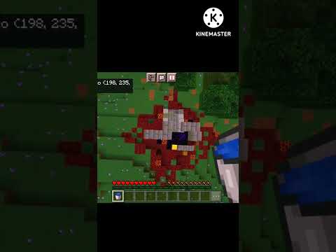 EPIC MLG with Flower Fox - Explore Minecraft Biomes 🌼🦊