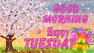 🌈Good Morning TUESDAY!🌼 |❤️ GIF e-Card Greetings❤️| Have an Amazing Tuesday!