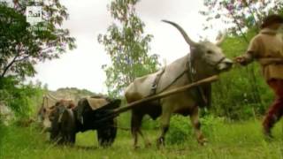 Ulisse - 8 ottobre 2016 - Laus Pompeia