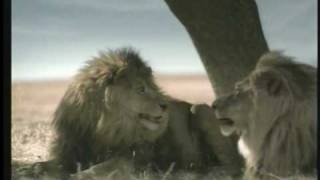 Underrated line:
"Do you smell that?"
"Yeah: campers. I like the guy on the right."