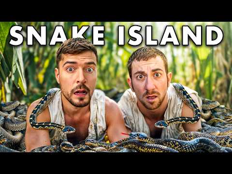 24 Stunden Auf Snake Island Mit MrBeast Überleben