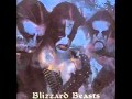 Immortal -Blizzard Beasts