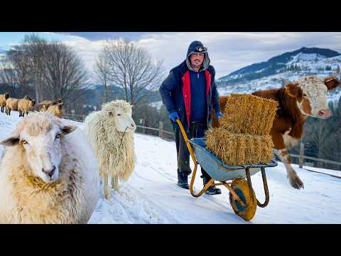Family Farm Life in Bukovets: Newborn Lambs and Traditional Ukrainian Cooking