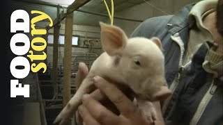 Thumbnail del capítulo