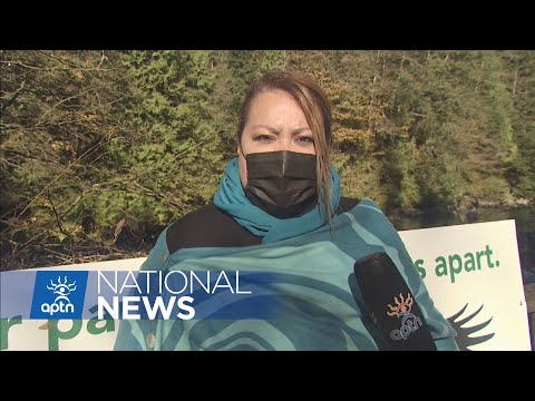 Discovery Island farms present little risk to wild salmon stocks says DFO | APTN News