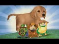 Wonder Pets SAVE THE PUPPY Watchkreen Style