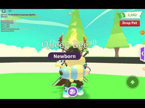 my offer for mega lynx!