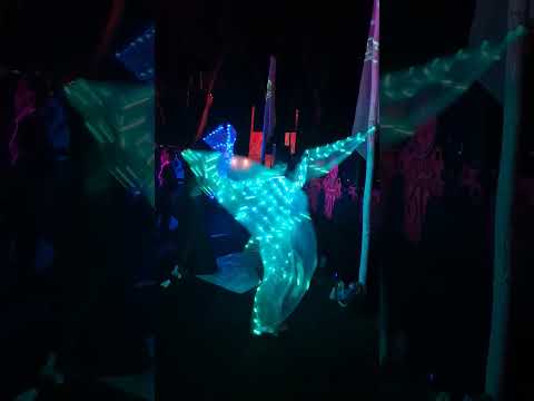 Dueños De La Cima ~ Rodrigo Gallardo