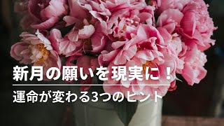 #272 新月の願いを現実に!〜運命を変える3つのヒント