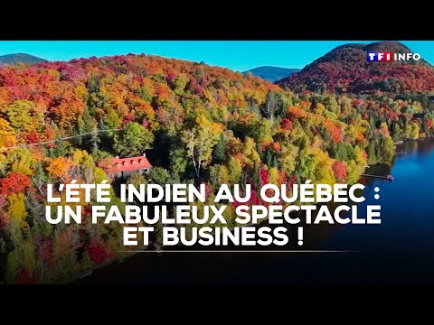 L'été indien au Québec : un fabuleux spectacle et business ! ｜TF1 INFO