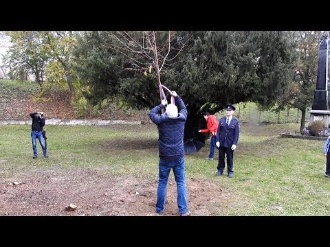 Tovačov má nový strom - Strom republiky -  27.10. 2018