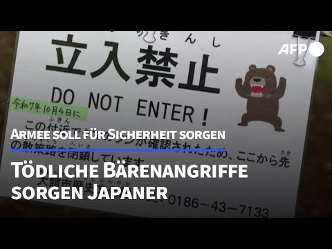 Todesgefahr durch Bären: Armee soll in Japan für Sicherheit sorgen | AFP