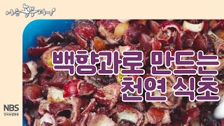 [나는농부다 213회] 백향과 껍질 버리지 마세요! 백향과천연식초 만들어야죠~!