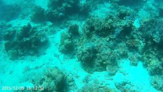 Download lagu Billabong Mabul dive mp3