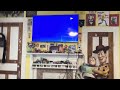 Opening To Little Einsteins 2005 On VHS