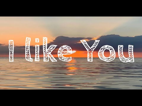 Jeremy Hutchins - I Like You (Lyrics)