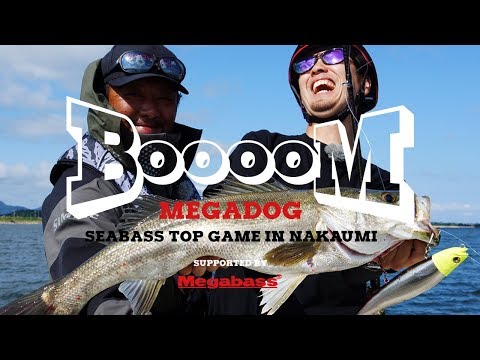 MEGADOG(メガドッグ) コノシロ ルアー | Megabass - メガバス オンラインショップ