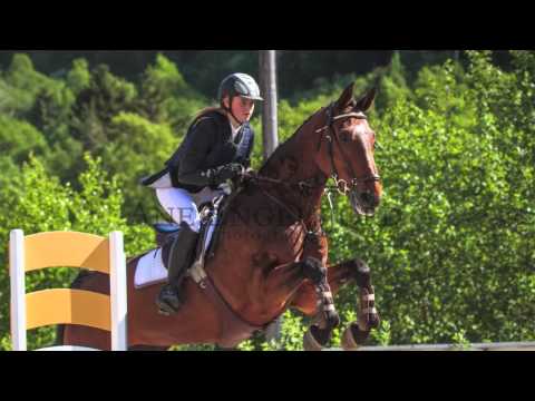 Sunndal Rideklubb i 2013