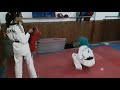 Sokour Sahara Tkd Laayoune