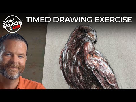 Draw a Hawk in 45 Minutes - Gettin' Sketchy LIVE