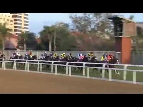 2015.07.04 Durban July - Power King