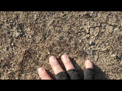 Ilhama Masiyeva “It hurts to say goodbye”