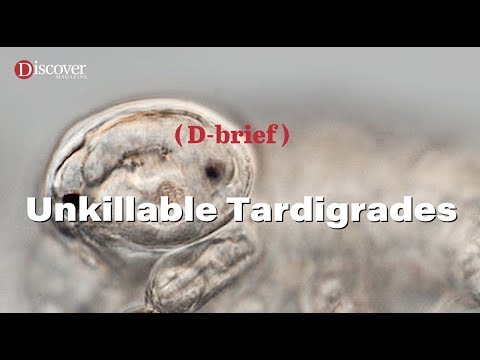 Are Tardigrades Immortal?