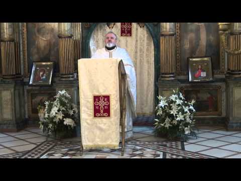 17.04.2015 Izvorul Tamaduirii - Pr. D. Popovici