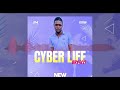 Brysco-Cyber Life