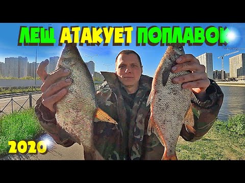 РЫБАЛКА НА ЛЕЩА НА ПОПЛАВОК. ПОКЛЕВКИ НЕ ЗАСТАВИЛИ СЕБЯ ДОЛГО ЖДАТЬ. ДУДЕРГОФСКИЙ КАНАЛ ПОРАДОВАЛ!