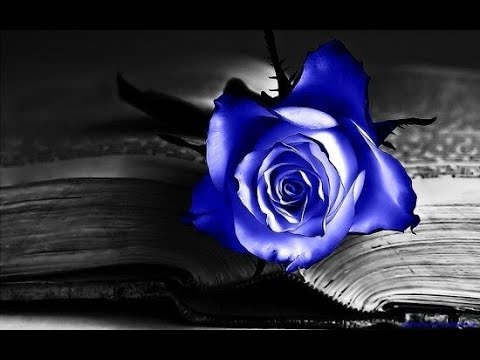 Bleib heut Nacht bei mir      Frans Bauer