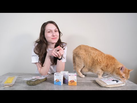 Top 5 Best Human-Grade Cat Foods (We Tried Them All)