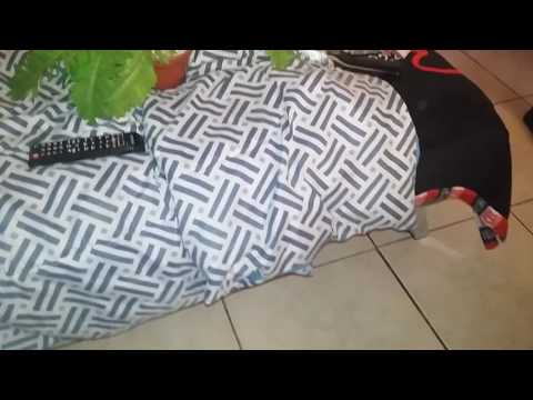 Video reacción la puta nacida de Pepa