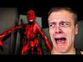 THE CREEPIEST HORROR GAME EVER Mr Meat
