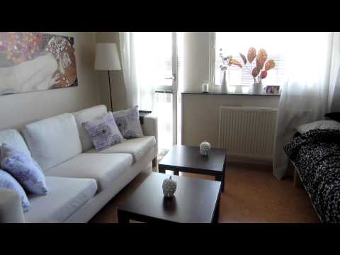 Första videobloggen