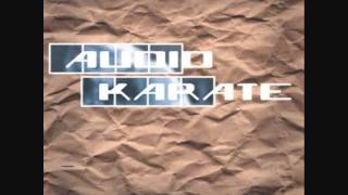 Audio Karate - Do You Miss Meaning Everything to Me?