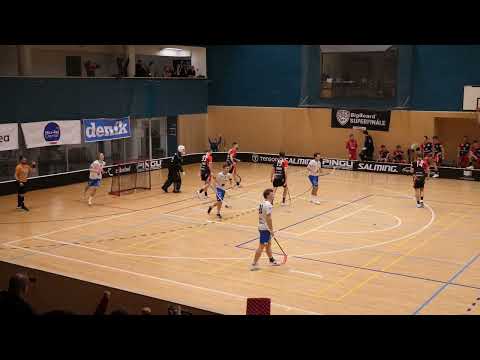 PANTHERS OTROKOVICE - GMS Florbal Chomutov (1. liga mužů, Základní část, 20.kolo)