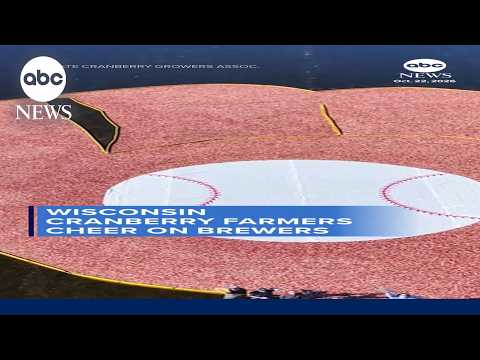 Wisconsin cranberry farmers cheer on Brewers
