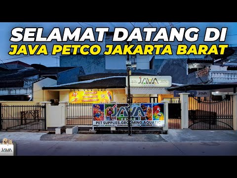 BUKA CABANG BARU LAGI JAVA PETCO JAKARTA BARAT!